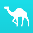 齐达内凌空抽射经典回放